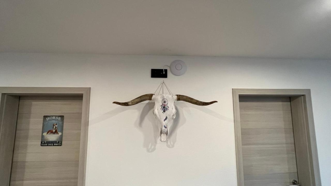 Elterlein Ranchhouse Smoker- Westernstable - Horse מראה חיצוני תמונה