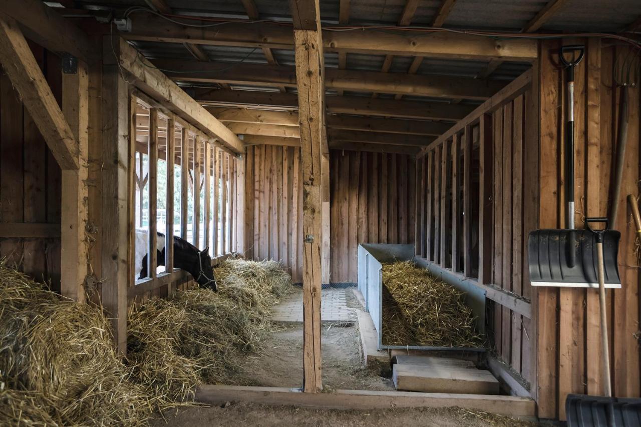 Elterlein Ranchhouse Smoker- Westernstable - Horse מראה חיצוני תמונה